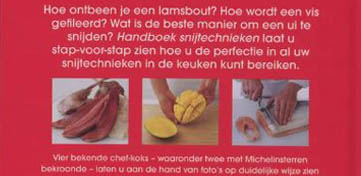 Handboek snijtechnieken boek