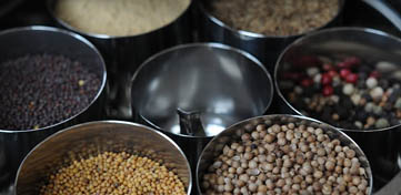 Madhur Jaffrey's Ultimate Curry Bible boek