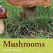 Mushrooms