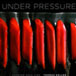 Under Pressure, Cooking Sous Vide