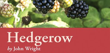 Cover van Hedgerow