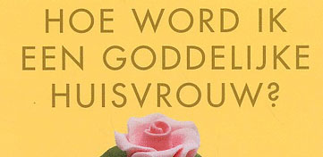 Cover van Hoe word ik een goddelijke huisvrouw